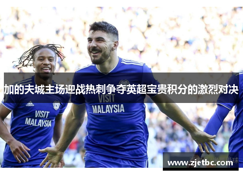加的夫城主场迎战热刺争夺英超宝贵积分的激烈对决